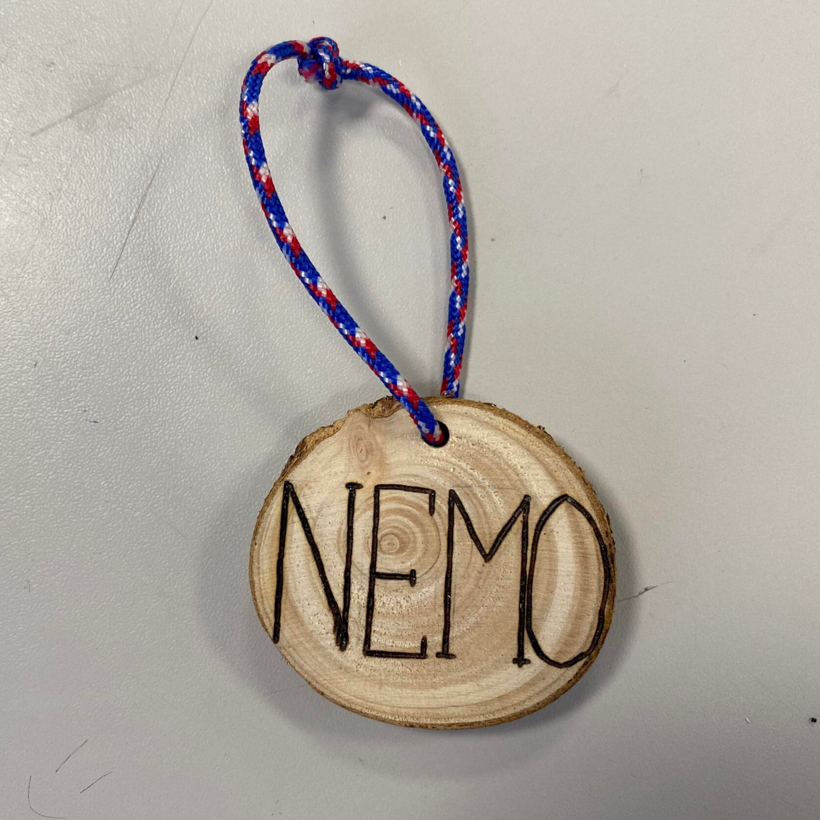 Medaillon Pat Eco Nemo pour les chiens et chats