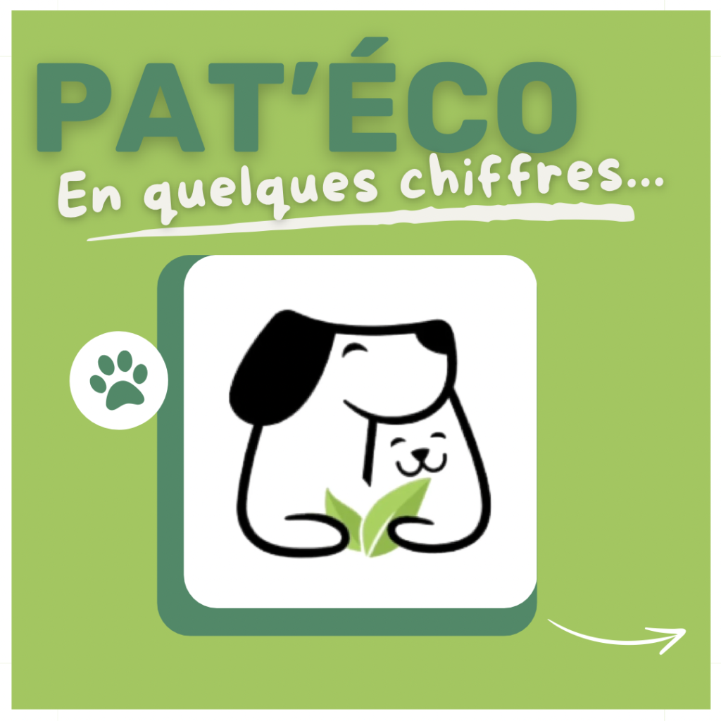 Collège Sainte Marie Linselles - Pat'Eco, la mini-entreprise 2023-2024 en quelques chiffres