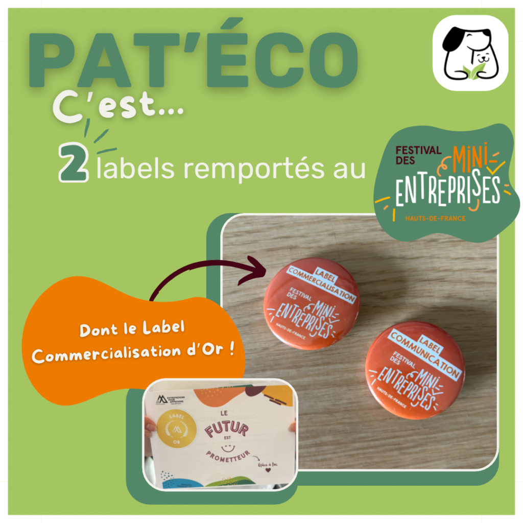 Collège Sainte Marie Linselles - Pat'Eco, la mini-entreprise 2023-2024 en quelques chiffres