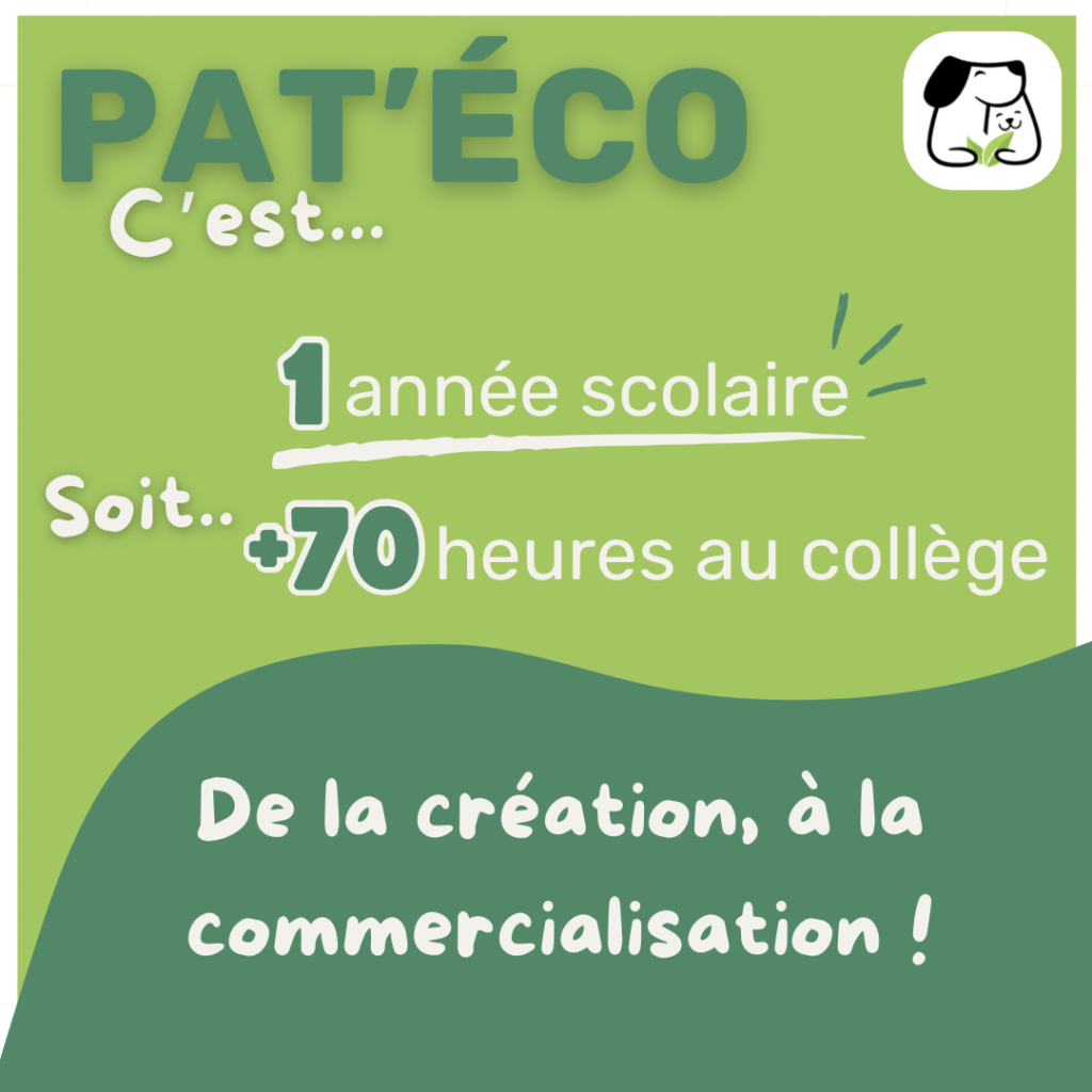 Collège Sainte Marie Linselles - Pat'Eco, la mini-entreprise 2023-2024 en quelques chiffres