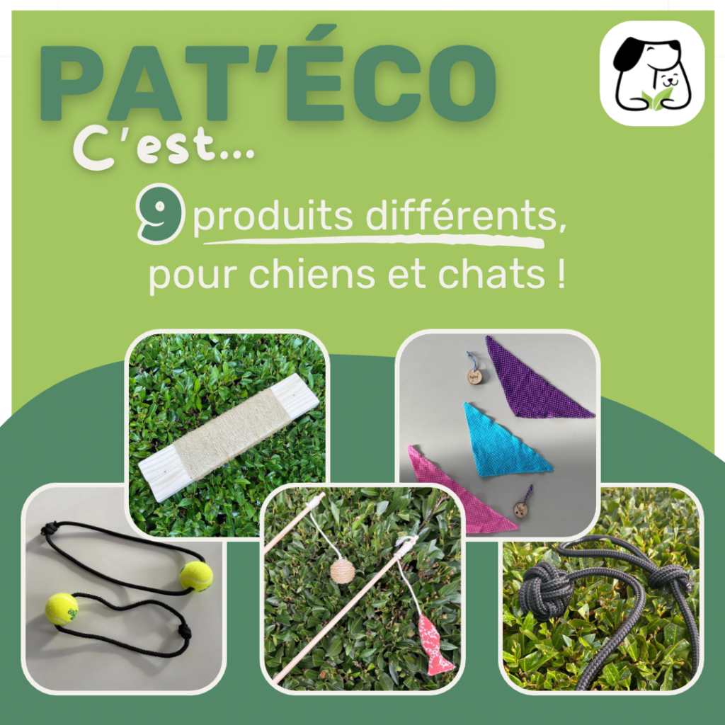 Collège Sainte Marie Linselles - Pat'Eco, la mini-entreprise 2023-2024 en quelques chiffres