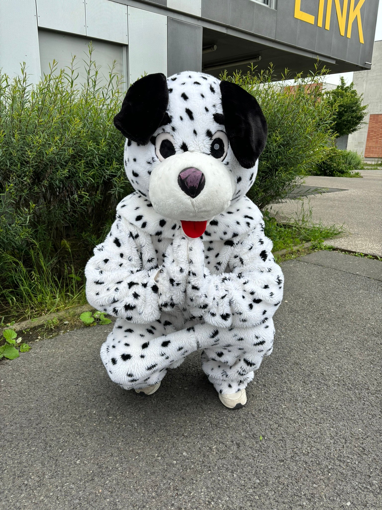 Collège Sainte Marie Linselles - Pat Eco Mascotte 1